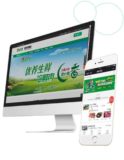 跨境電商商城網站建設