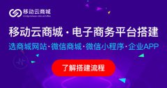 微分銷系統(tǒng)的店中店有哪些主要功能？